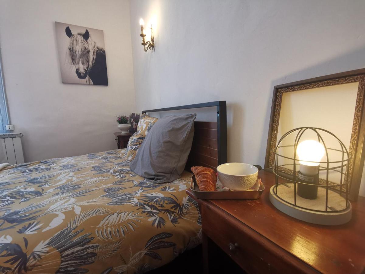 הוילה Vergèze La Taniere 16 Couchages מראה חיצוני תמונה